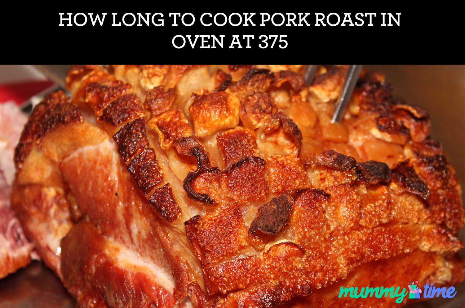 How Long to Cook Pork Roast In Oven At 375