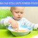 2-Year-Old Still Eats Pureed Food Bad?