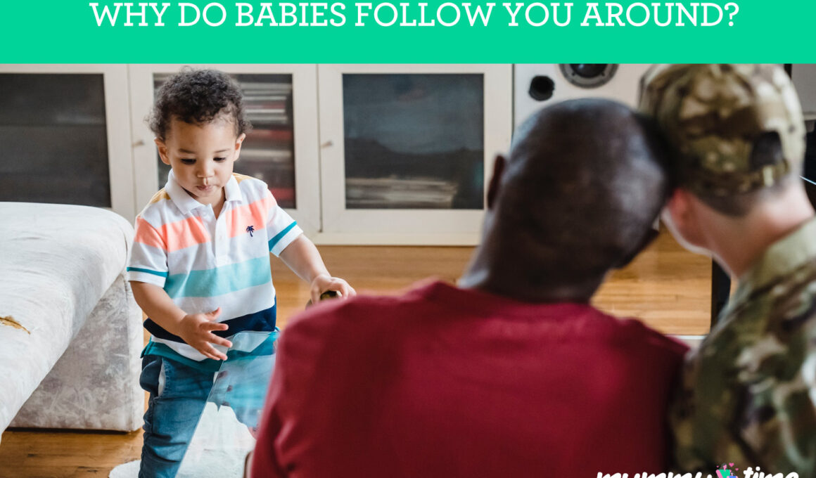 Why Do Babies Follow You Around?