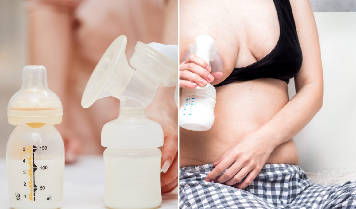 Pros And Cons Of Pumping While Pregnant
