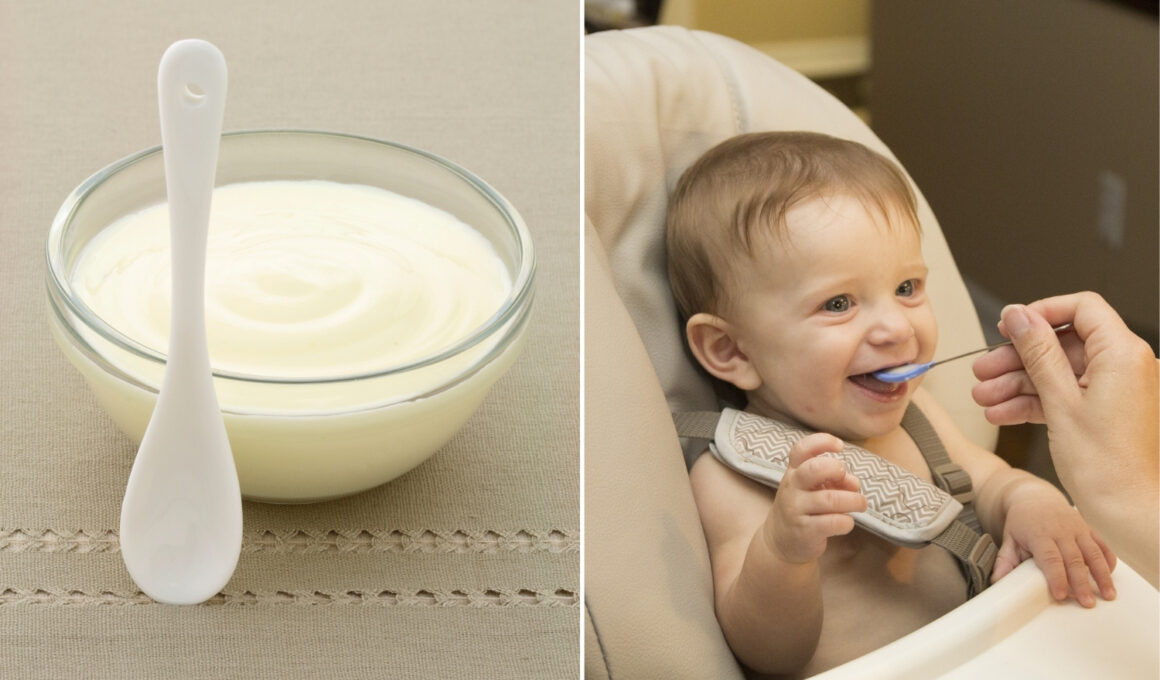 Can Babies Have Sour Cream