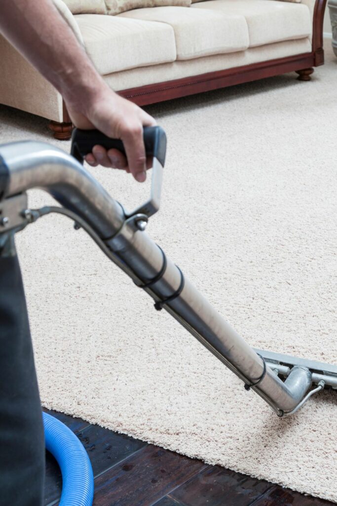 Deep Clean Carpets and Rugs