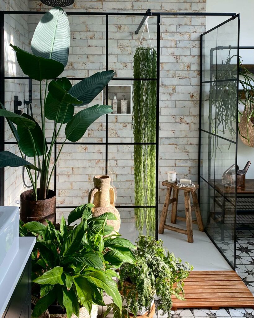 Nature Inside with Houseplants
