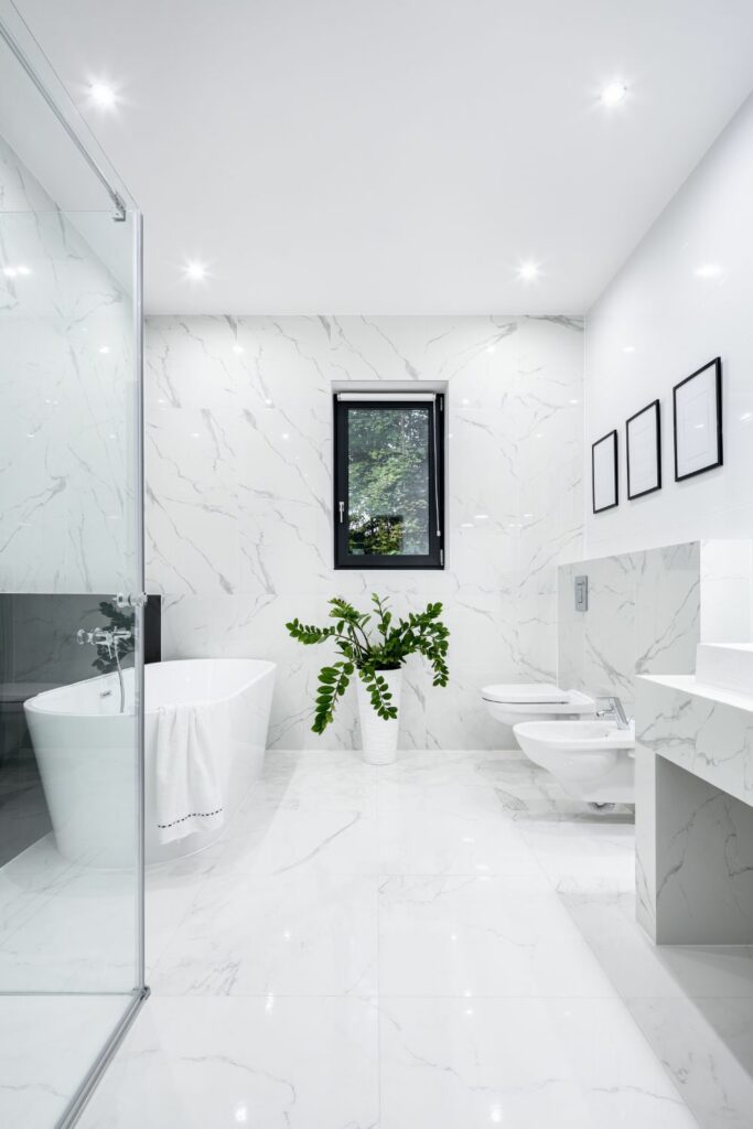 Luxury White Bathroom