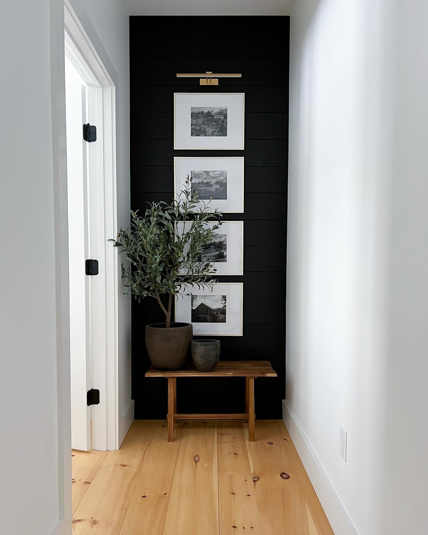 Modern Organic Small Hallway Design