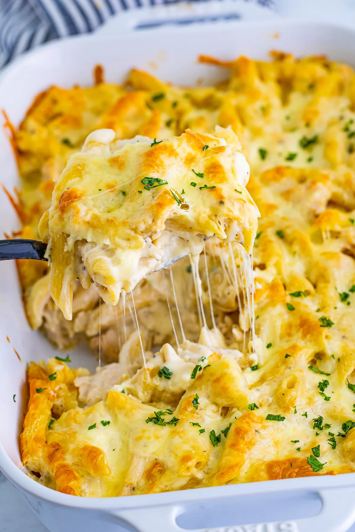Chicken Alfredo Bake