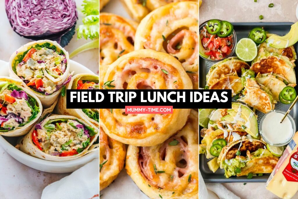 Field Trip Lunch Ideas
