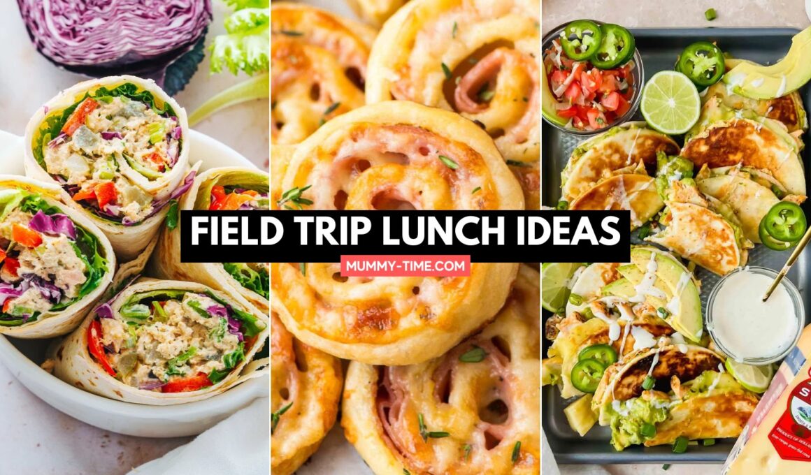 Field Trip Lunch Ideas