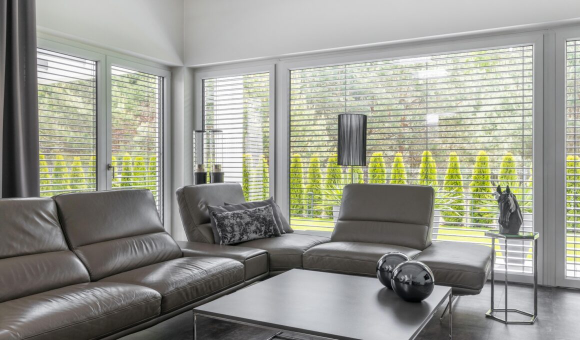 Elegant lather sofas in bright living room interior with silver decorations and big windows