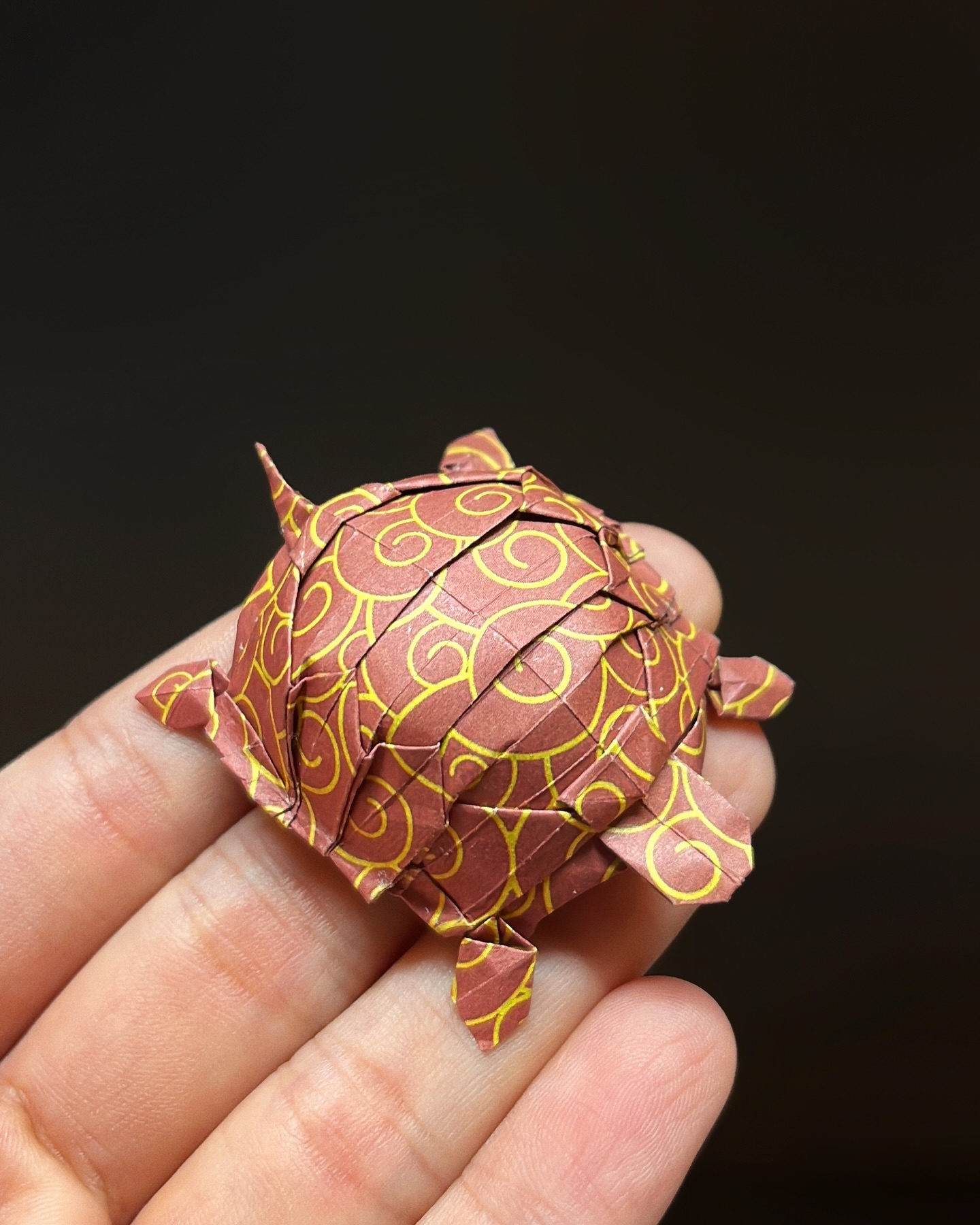 Super cute golden money turtle