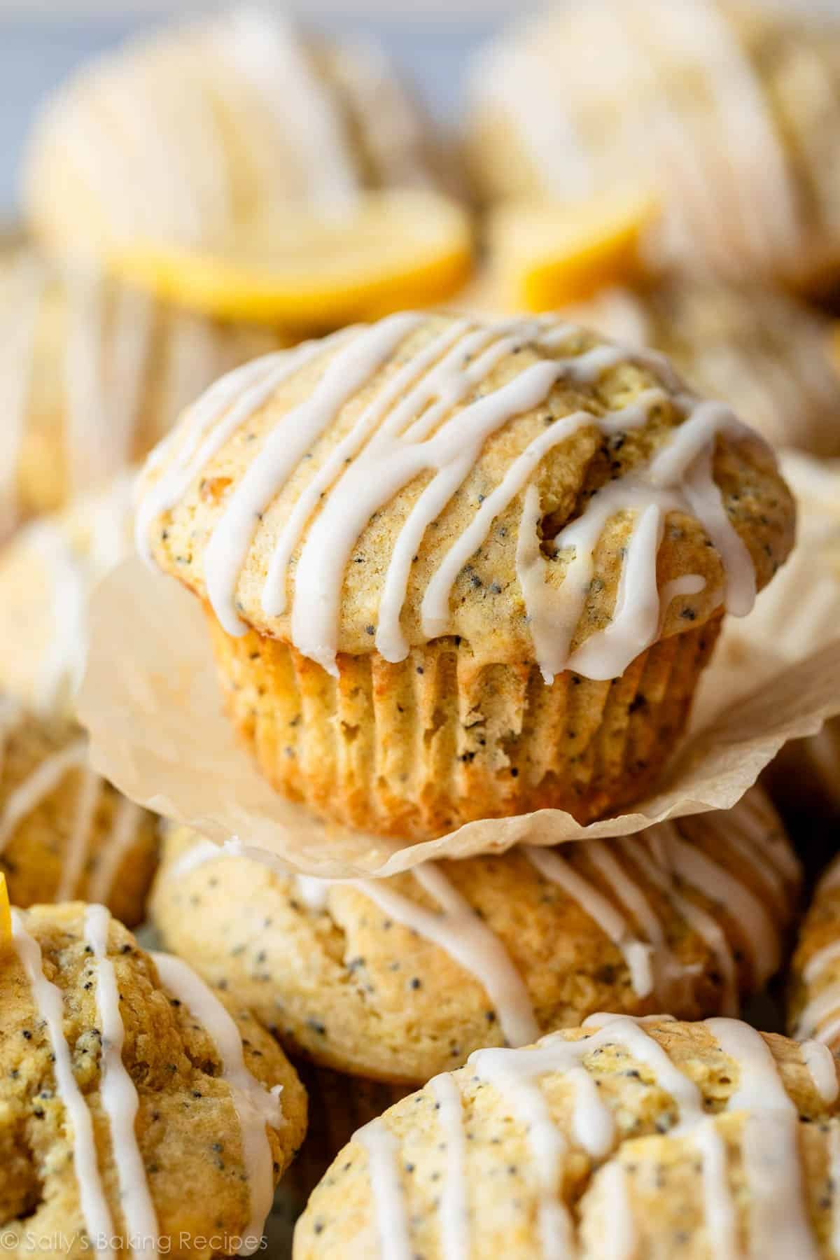 Lemon Poppy Seed Muffins