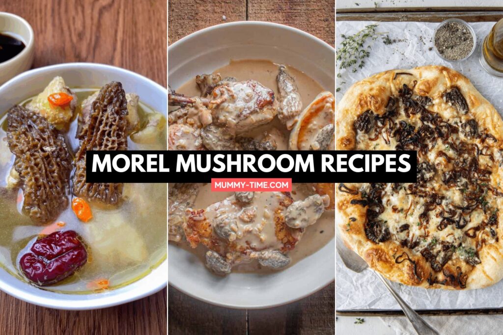 Morel Mushroom Recipes