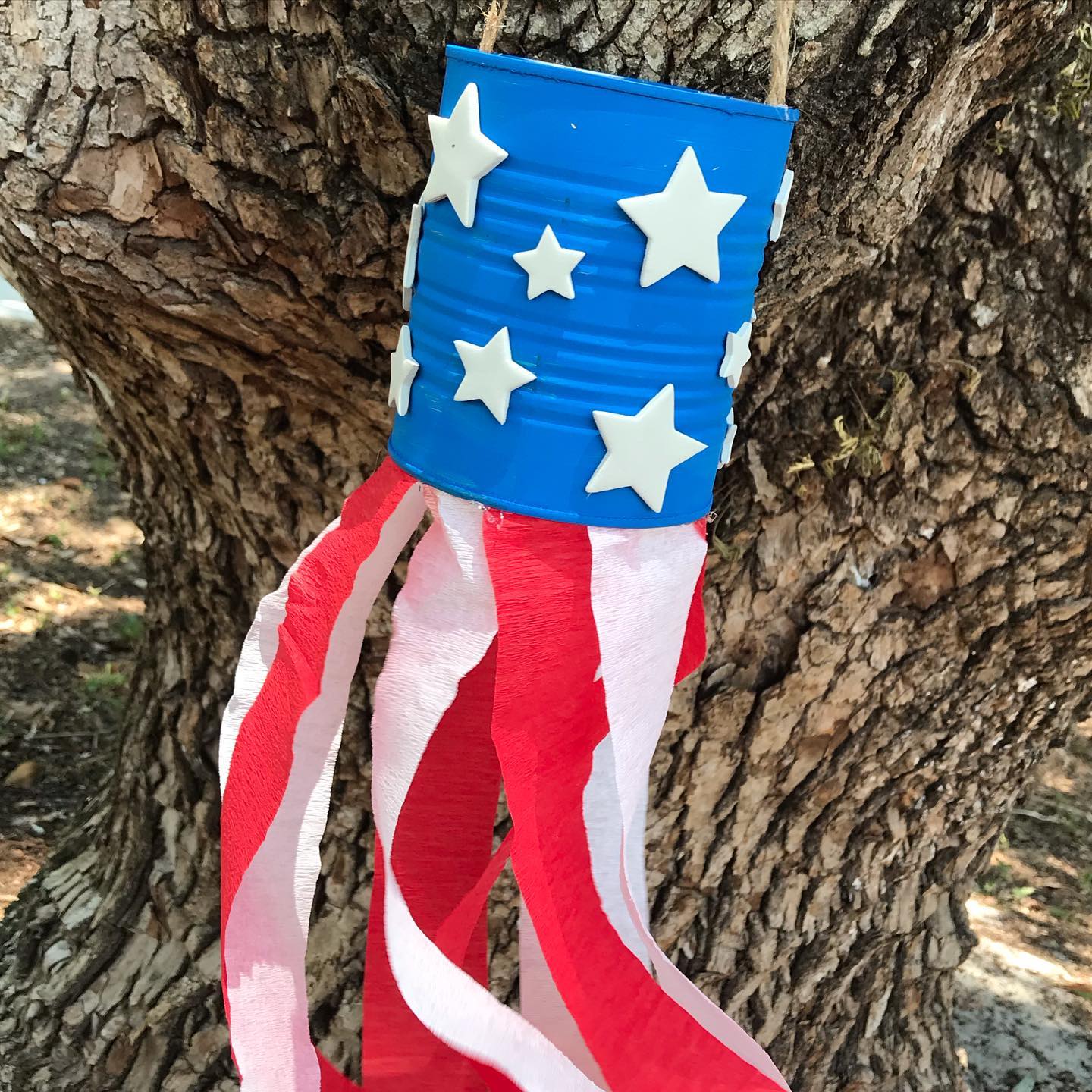 Memorial Day Wind Blower